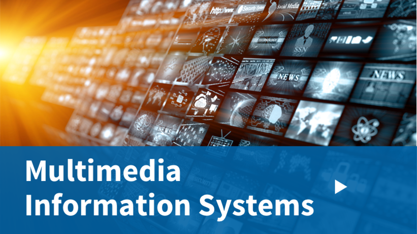 MIS - Multimedia Information Systems